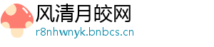 风清月皎网